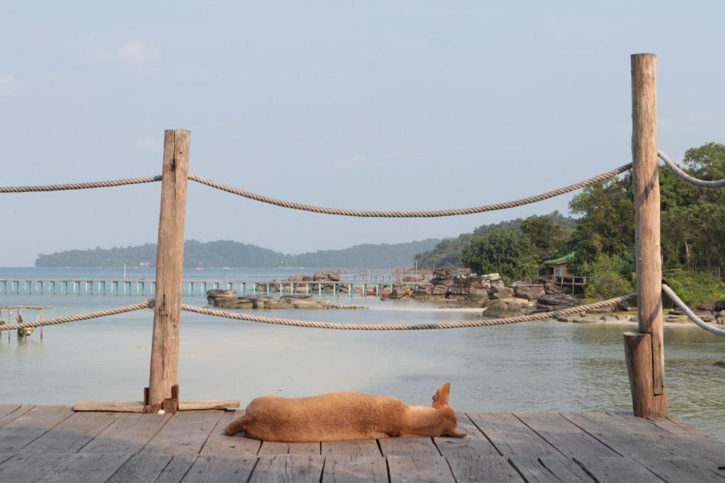 แมดมังกี้ เกาะรง ซัมเลิม Hostel เกาะรงสำลน ภายนอก รูปภาพ
