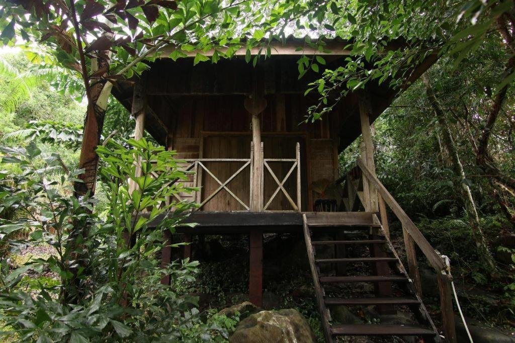 แมดมังกี้ เกาะรง ซัมเลิม Hostel เกาะรงสำลน ภายนอก รูปภาพ